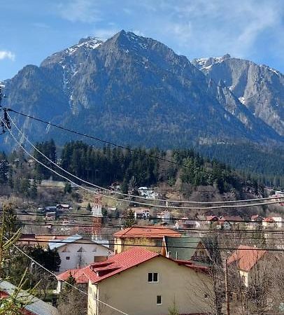 Ferienwohnung Mountain View Buşteni Exterior foto