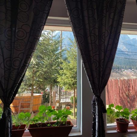 Ferienwohnung Mountain View Buşteni Exterior foto