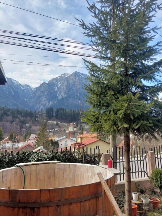 Ferienwohnung Mountain View Buşteni Exterior foto