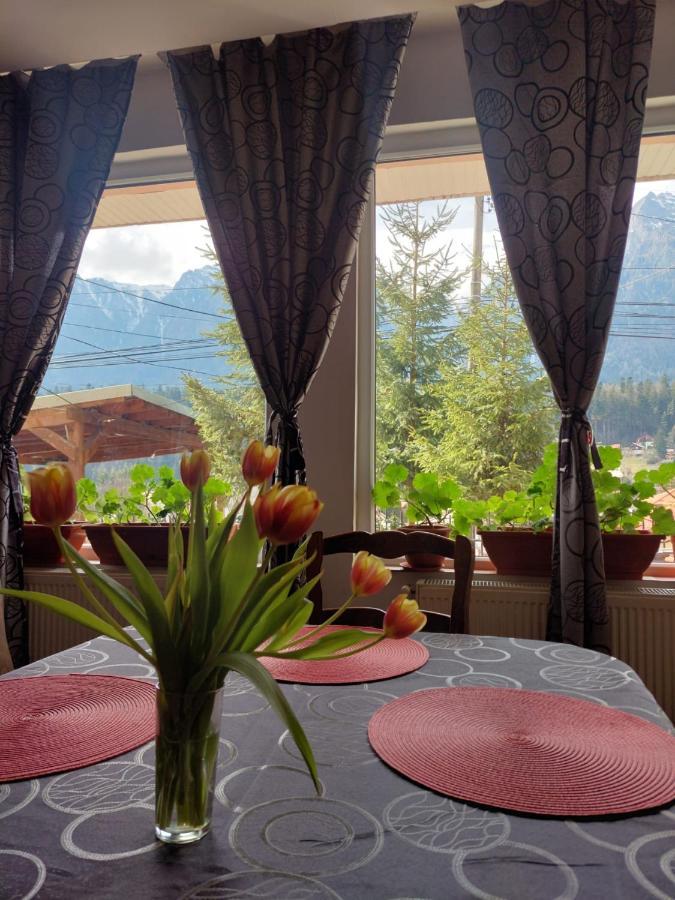 Ferienwohnung Mountain View Buşteni Exterior foto
