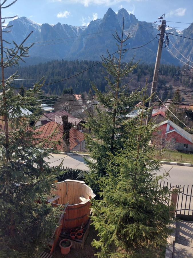 Ferienwohnung Mountain View Buşteni Exterior foto
