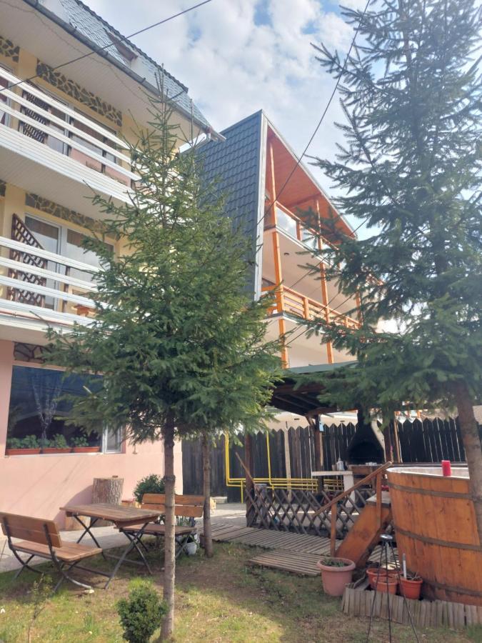 Ferienwohnung Mountain View Buşteni Exterior foto